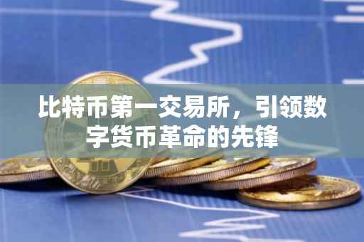 比特币第一交易所，引领数字货币革命的先锋