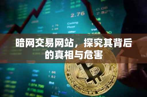 暗网交易网站，探究其背后的真相与危害