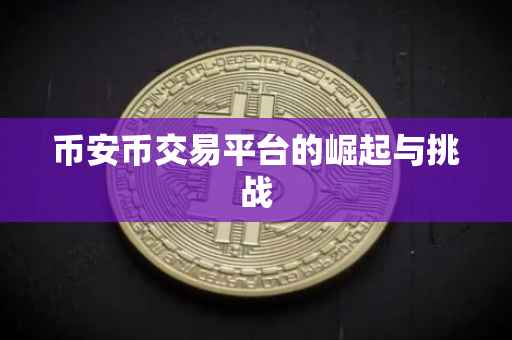 币安币交易平台的崛起与挑战