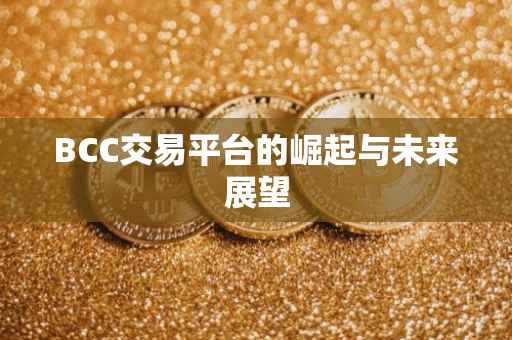 BCC交易平台的崛起与未来展望
