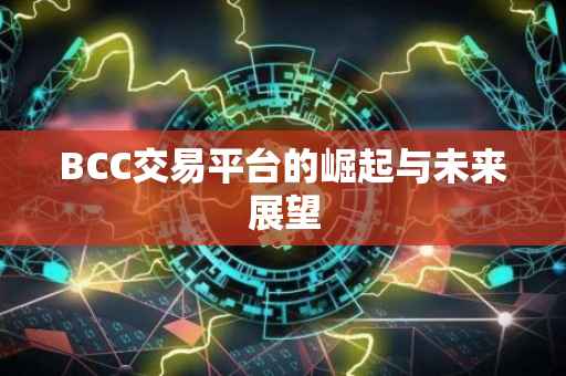 BCC交易平台的崛起与未来展望