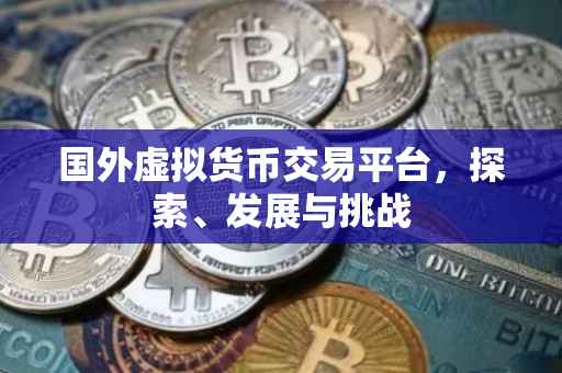 国外虚拟货币交易平台，探索、发展与挑战