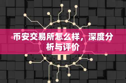 币安交易所怎么样，深度分析与评价