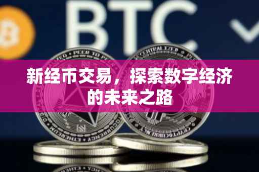 新经币交易，探索数字经济的未来之路