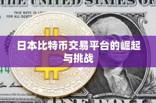 日本比特币交易平台的崛起与挑战
