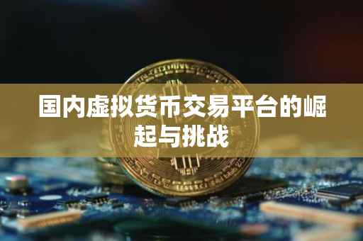 国内虚拟货币交易平台的崛起与挑战