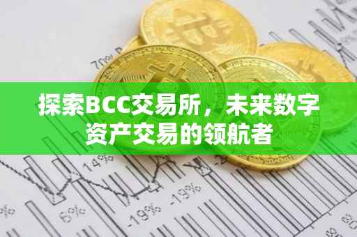探索BCC交易所，未来数字资产交易的领航者