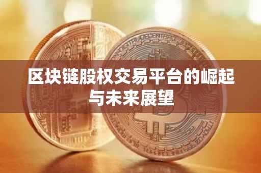 区块链股权交易平台的崛起与未来展望