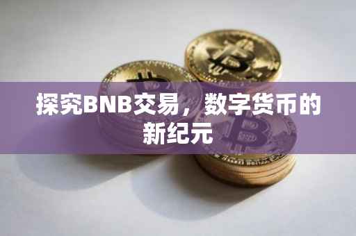 探究BNB交易，数字货币的新纪元