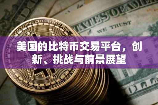 美国的比特币交易平台，创新、挑战与前景展望