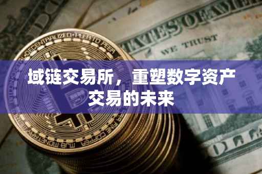 域链交易所，重塑数字资产交易的未来