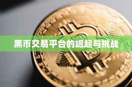 黑币交易平台的崛起与挑战