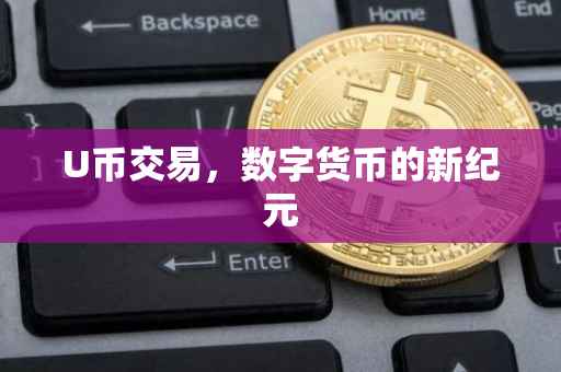U币交易，数字货币的新纪元