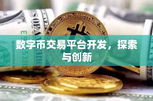 数字币交易平台开发，探索与创新