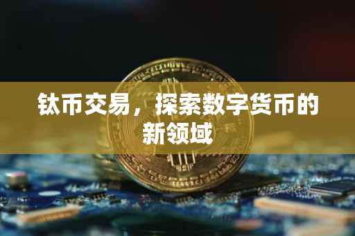 钛币交易，探索数字货币的新领域