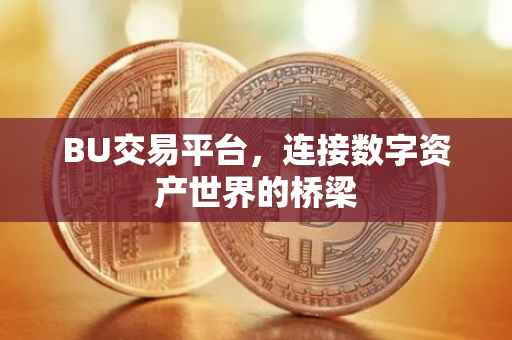 BU交易平台，连接数字资产世界的桥梁