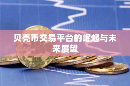 贝壳币交易平台的崛起与未来展望