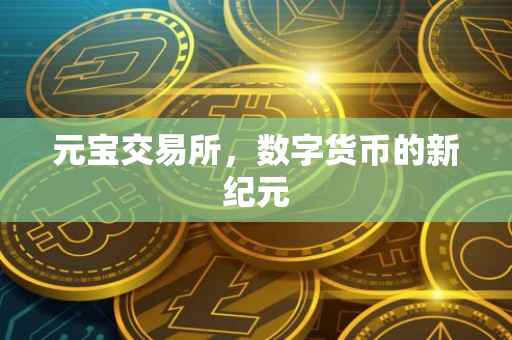 元宝交易所，数字货币的新纪元
