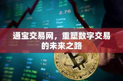 通宝交易网，重塑数字交易的未来之路