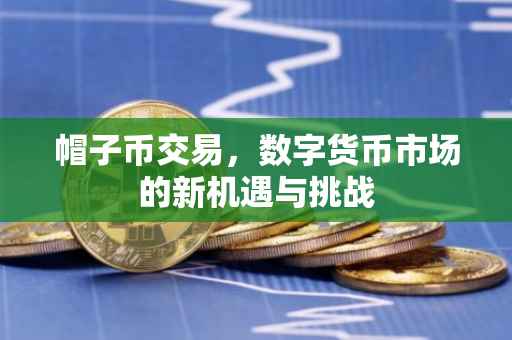 帽子币交易，数字货币市场的新机遇与挑战