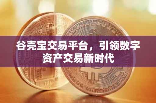 谷壳宝交易平台，引领数字资产交易新时代