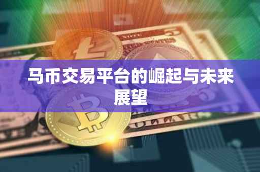 马币交易平台的崛起与未来展望