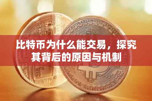 比特币为什么能交易，探究其背后的原因与机制
