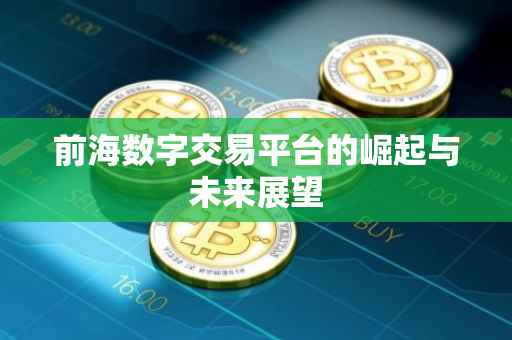前海数字交易平台的崛起与未来展望