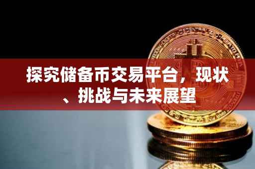 探究储备币交易平台，现状、挑战与未来展望
