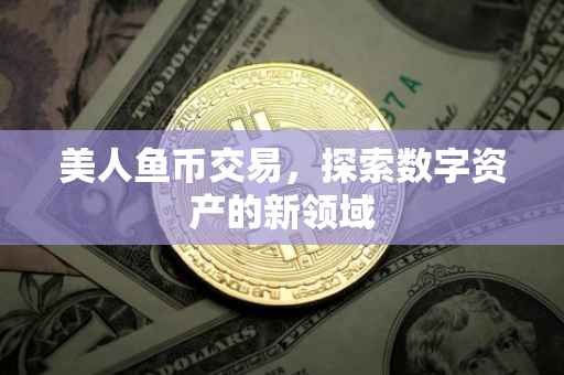 美人鱼币交易，探索数字资产的新领域