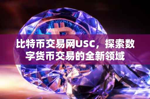 比特币交易网USC，探索数字货币交易的全新领域