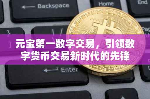 元宝第一数字交易，引领数字货币交易新时代的先锋