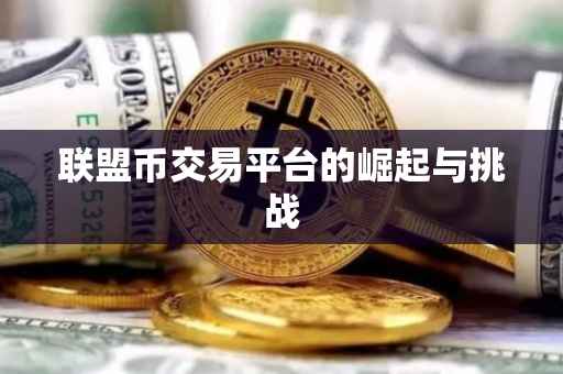 联盟币交易平台的崛起与挑战
