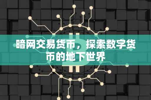 暗网交易货币，探索数字货币的地下世界