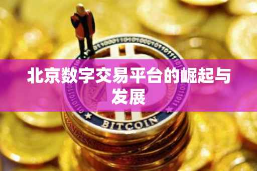 北京数字交易平台的崛起与发展