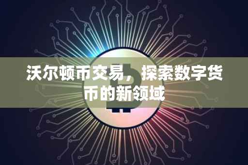沃尔顿币交易，探索数字货币的新领域