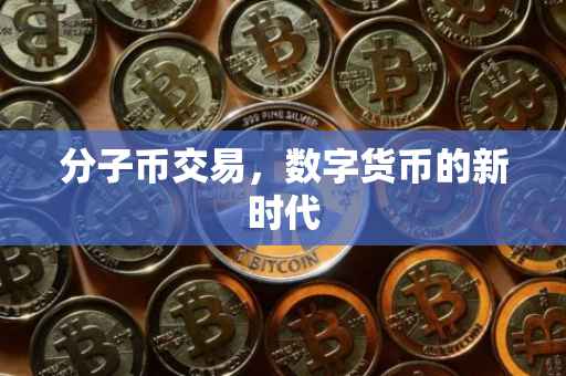 分子币交易，数字货币的新时代