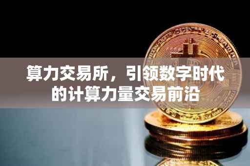 算力交易所，引领数字时代的计算力量交易前沿