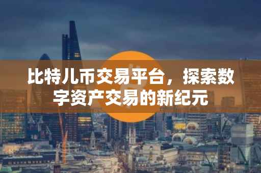 比特儿币交易平台，探索数字资产交易的新纪元
