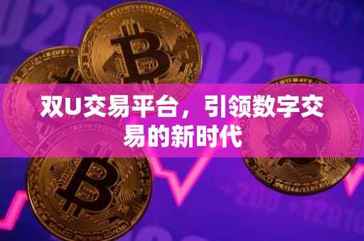 双U交易平台，引领数字交易的新时代