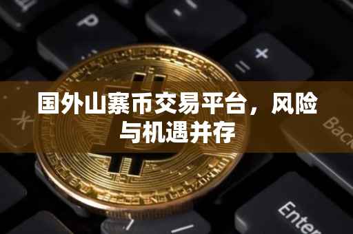 国外山寨币交易平台，风险与机遇并存