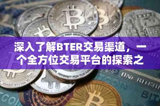深入了解BTER交易渠道，一个全方位交易平台的探索之旅