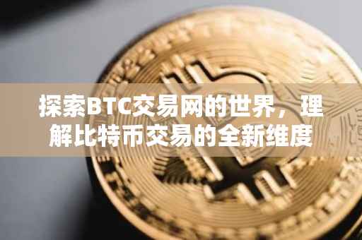 探索BTC交易网的世界，理解比特币交易的全新维度