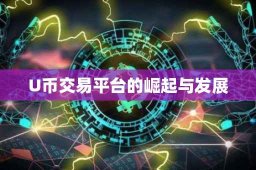 U币交易平台的崛起与发展