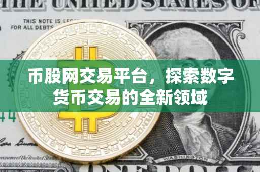 币股网交易平台，探索数字货币交易的全新领域