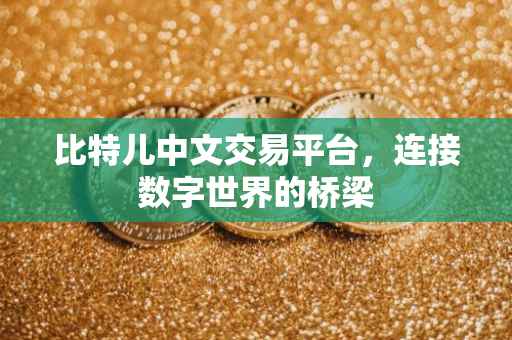 比特儿中文交易平台，连接数字世界的桥梁