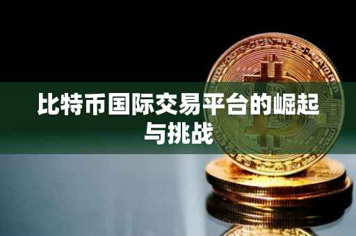 比特币国际交易平台的崛起与挑战