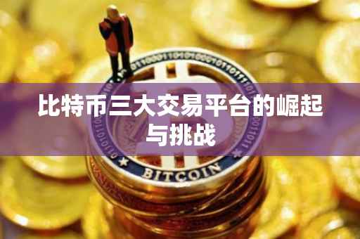 比特币三大交易平台的崛起与挑战