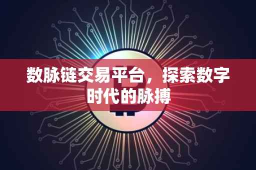数脉链交易平台，探索数字时代的脉搏