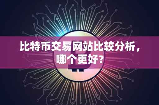 比特币交易网站比较分析，哪个更好？